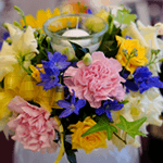 佐藤 看護師・保健師