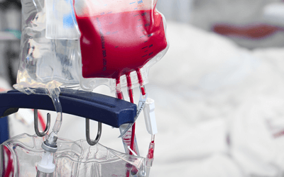 資材の出し入れや清掃・チェック