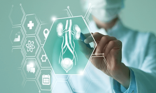 泌尿器科疾患と対処法を学ぶことができる